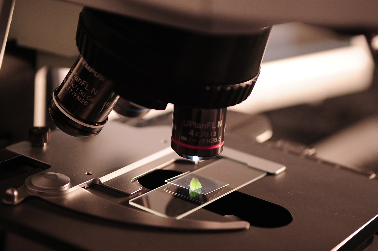 biological microscope